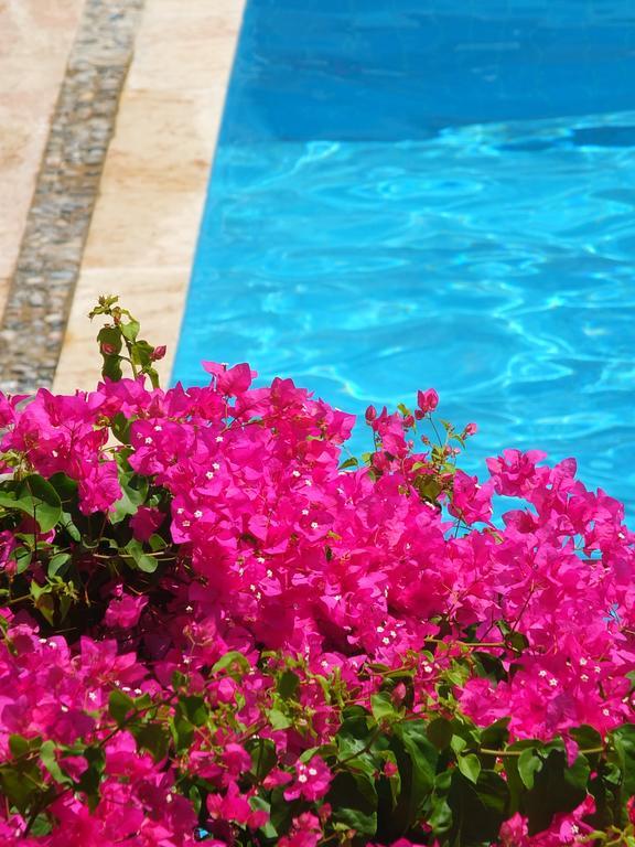 Hotel Villa Berkフェティエ エクステリア 写真